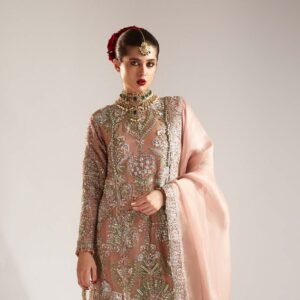 Hussain Rehar Brand Luxury Wedding Unstitched Suit